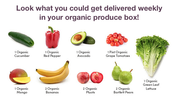 Door to Door Organics Produce Box Subscription