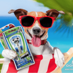 Dorco USA Shaving Products