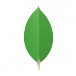 MongoDB Atlas Database Cloud Service