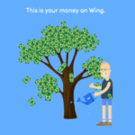 Wing Mobile Network Carrier