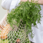 Vejii Vegan Food Market Discount Referral Coupons